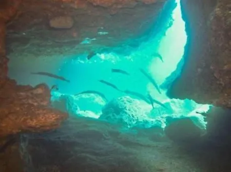 Holiday home Medano Playa Mar Y Tranquilidad Supreme Medano